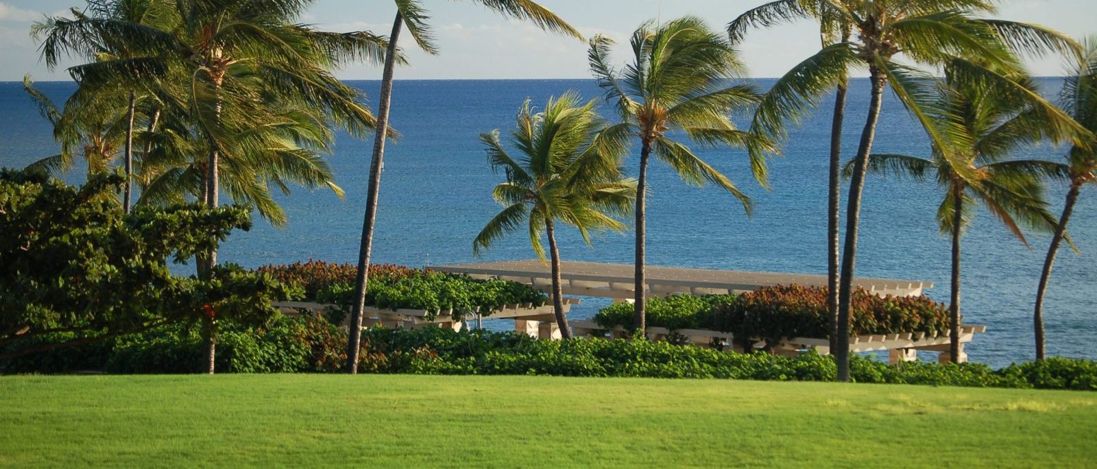 Brownfields in Paradise? ʻOiaʻiʻo Brownfields in Paradise? ʻOiaʻiʻo