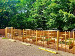 Image of a garden with a brown fence around the outside and greenery around it