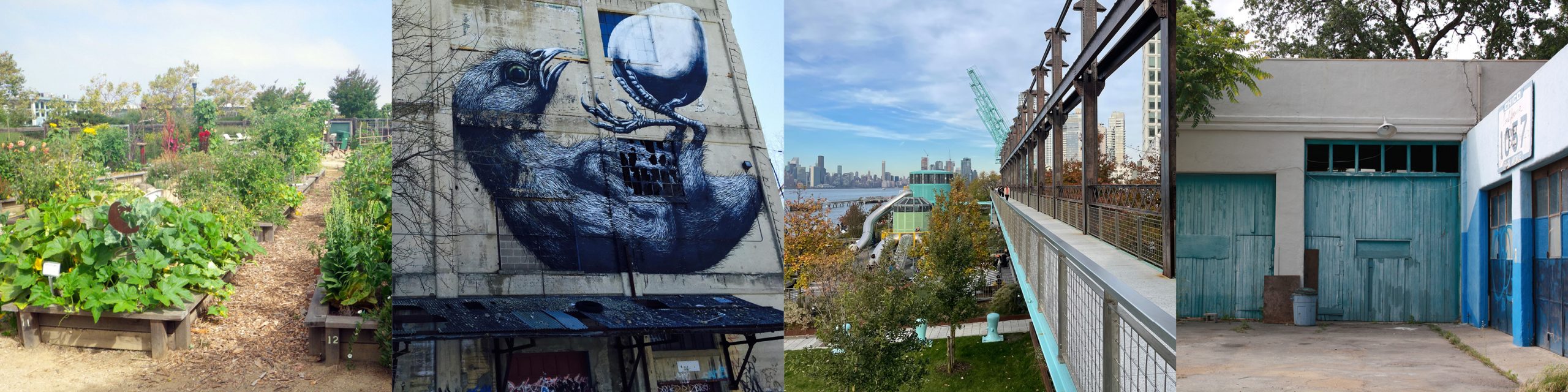 Collage of brownfield photos including, from left to right: a garden/greenery, a mural of a bird, an urban landscape, and a garage