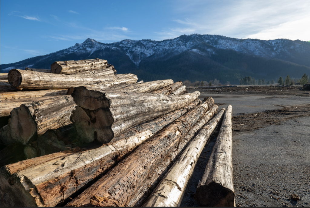 pile of lumber on flat ground with snowy mountains in the distance